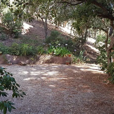 度假居 Mas Avec 3 Chambres, Jardin, Piscine, Tennis Et Proche A - Fr-1-100-152 *